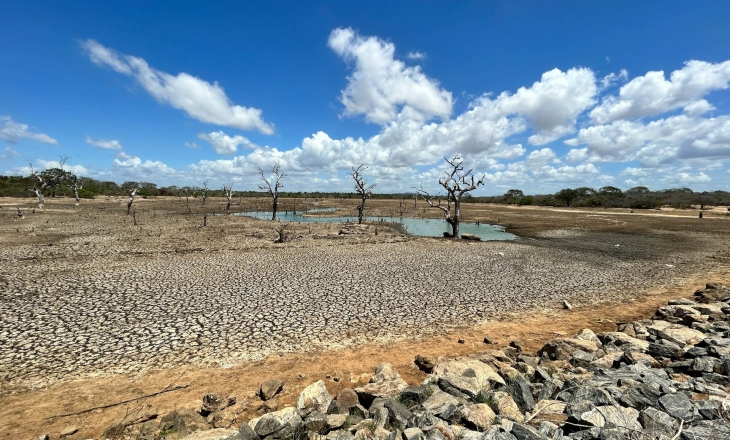 Review of Water Watch