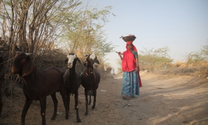 Rajasthan women