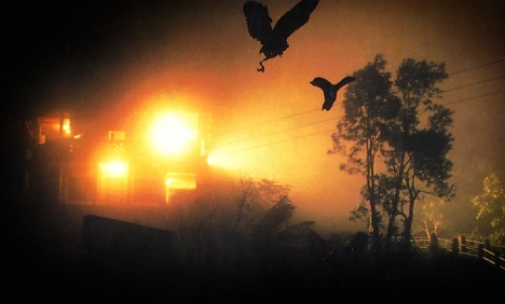 Birds of Jatinga