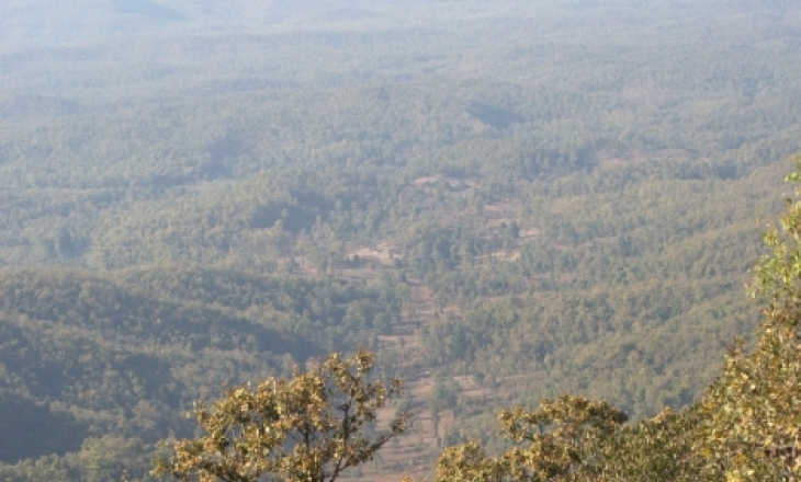 Saranda forests