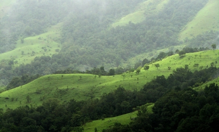 Censored Western Ghats report