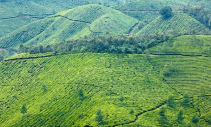 Western Ghats region