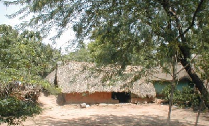 Forest rights