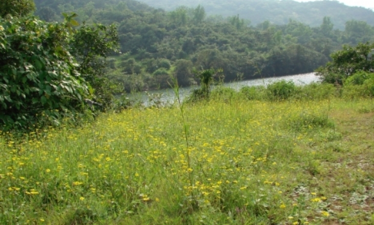 Western Ghats conservation