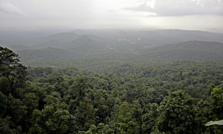Western Ghats report