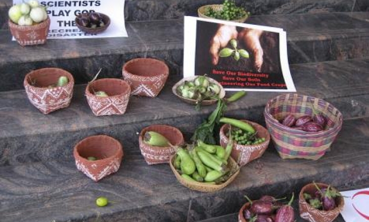 Bt brinjal protest