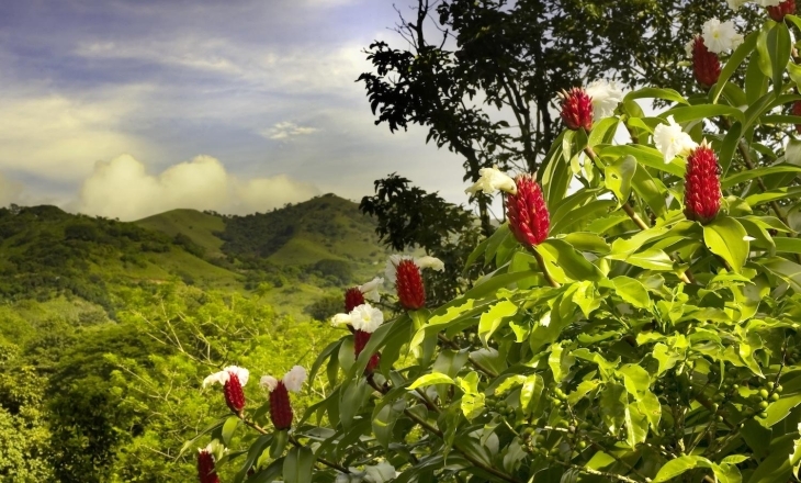 Green Costa Rica