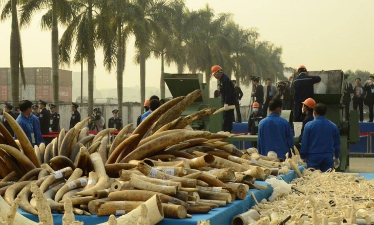Ivory trade