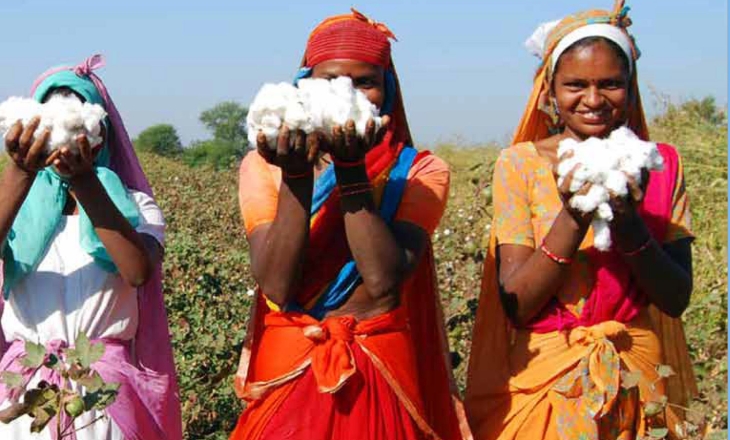 Sustainable Cotton Ranking