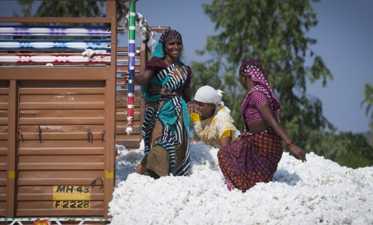 Cotton farmers
