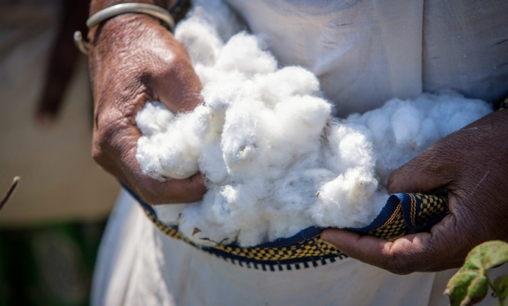 Cotton transparency