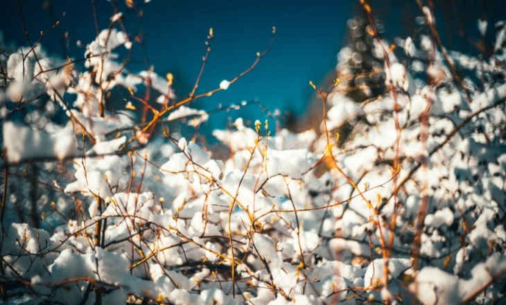 Cotton supply for retail