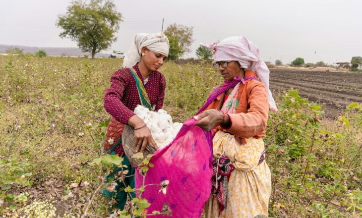 Cotton 2040 project