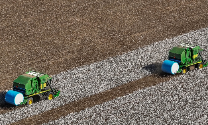 Better Cotton Remains in Denial a Year after Brazil Scandal Investigation by Earthsight