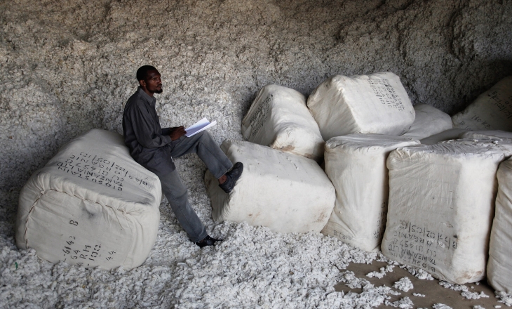 Cotton Supply Chain Faces Crisis as Farmers Get Marginalised and Certification Loses Impact