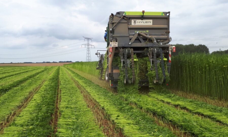 Europe’s Hemp Value Chains Strengthen Through Technology and Collaboration