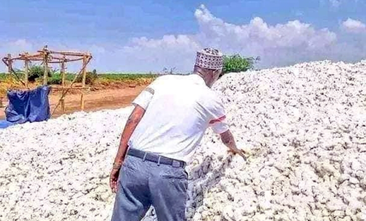 How Ethiopia Aims to Transform Its Cotton Heritage into Global Competitiveness