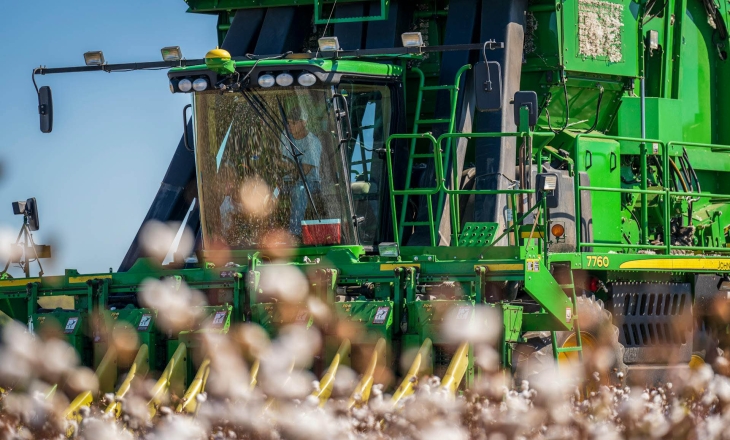 The Fight Over Cotton's Future Is a Fight Over Accounting